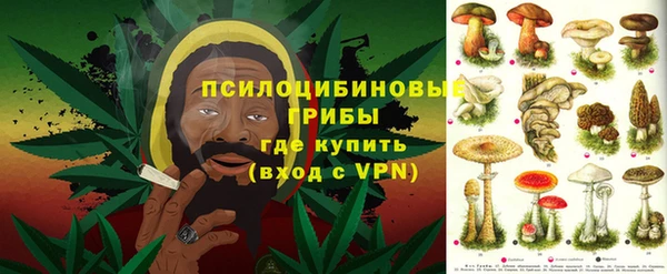 мяу мяу мука Алексин